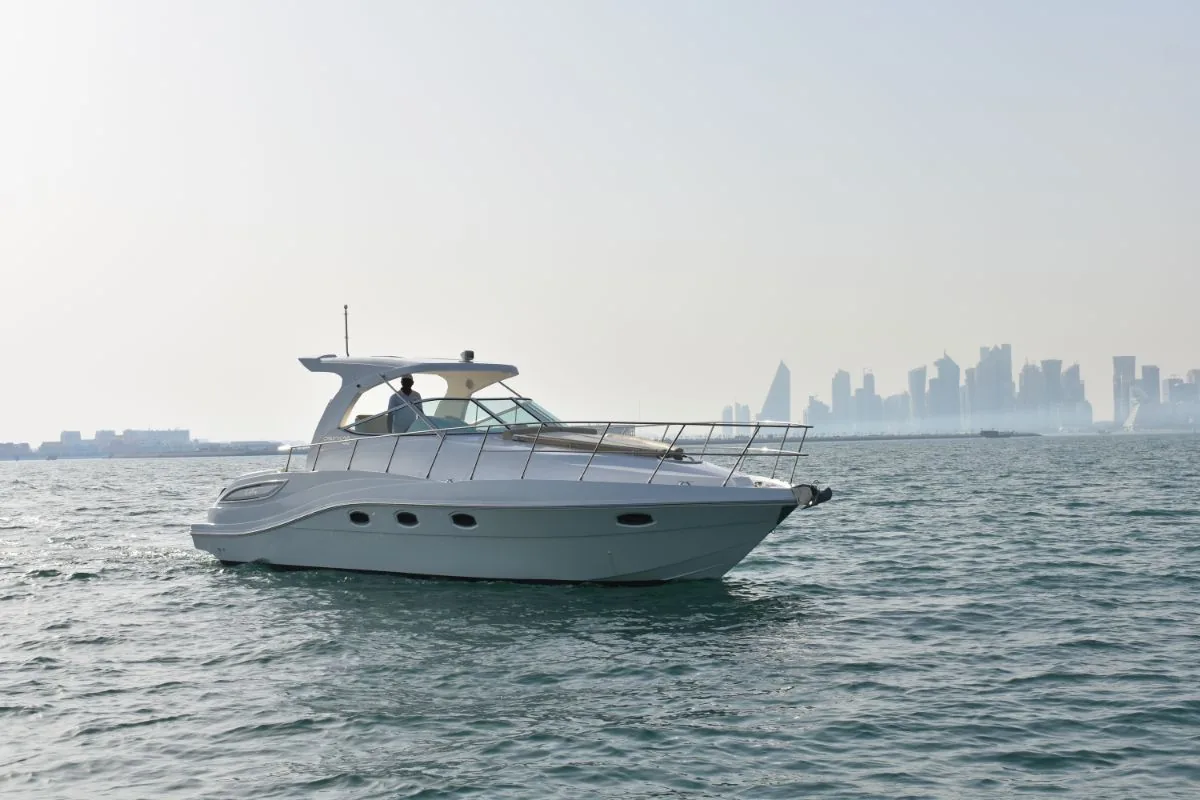 Oryx 36