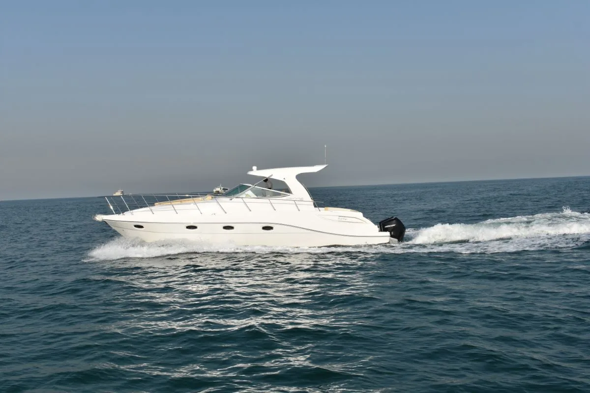 Oryx 36