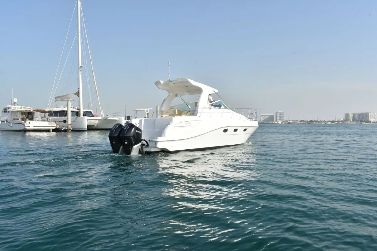 Oryx 36