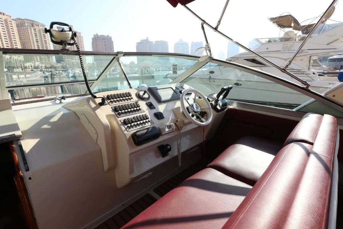 SEARAY 310