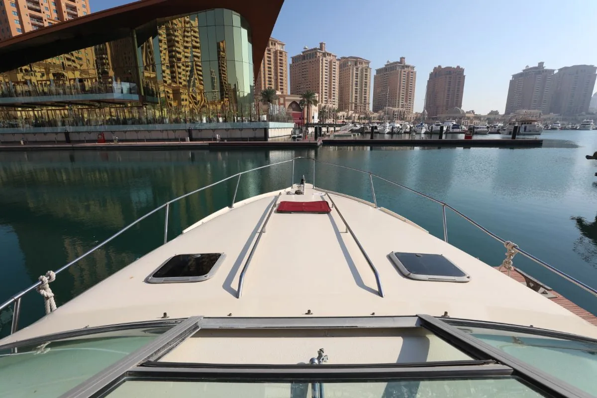 SEARAY 310
