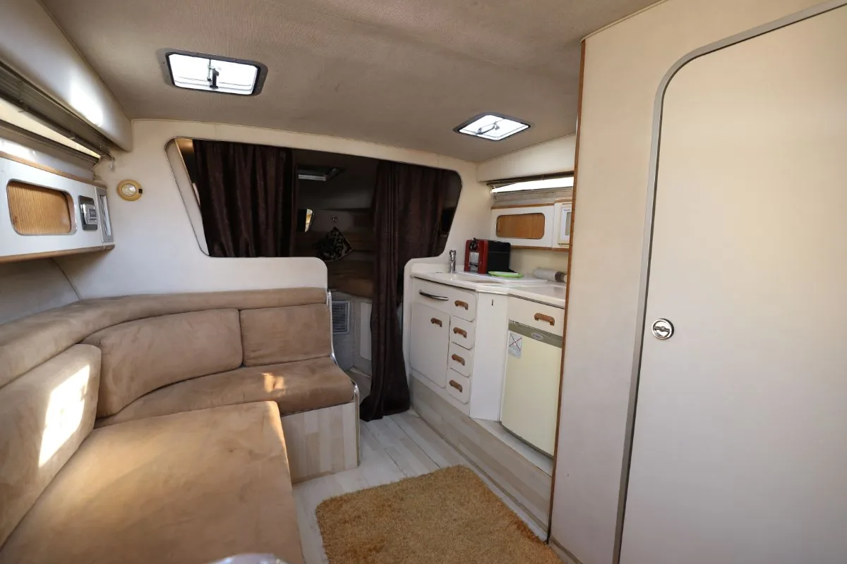 SEARAY 310