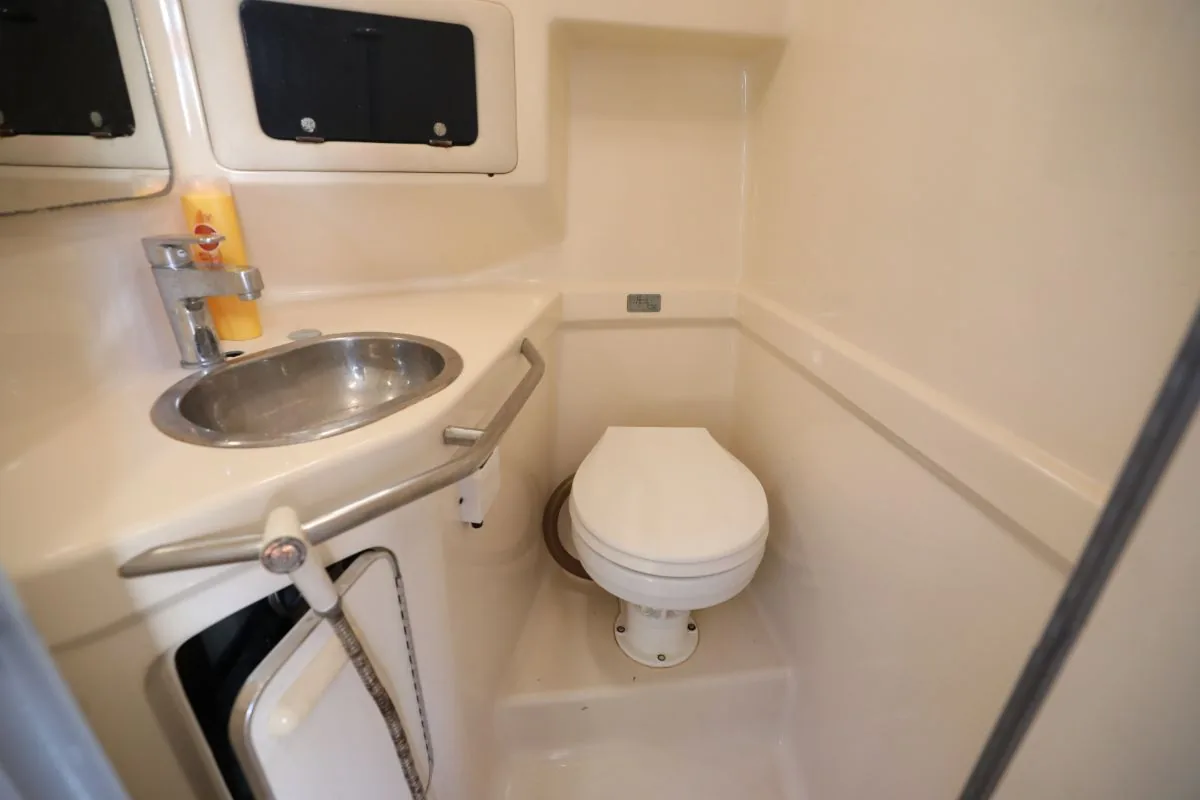 SEARAY 310