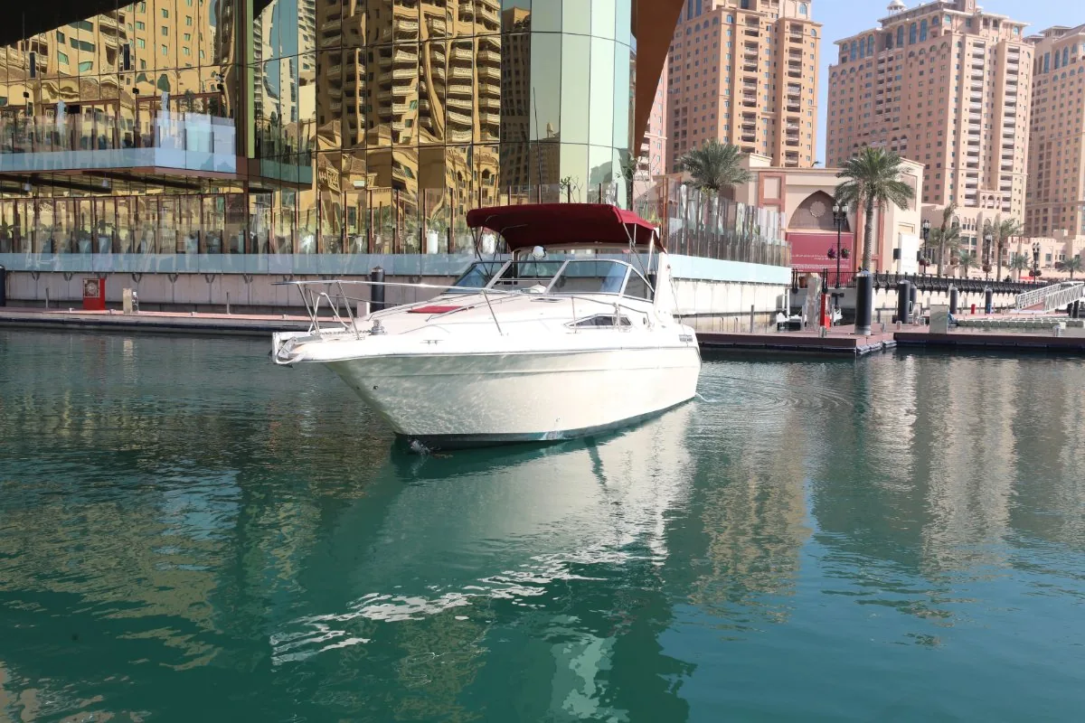 SEARAY 310