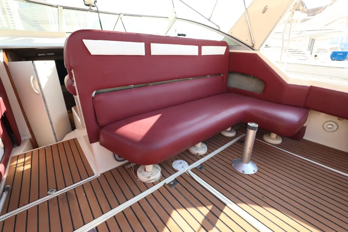 SEARAY 310